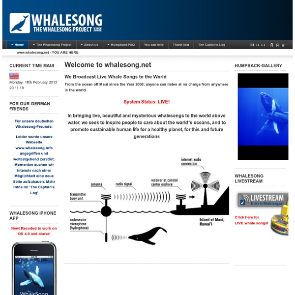 Welcome to whalesong.net