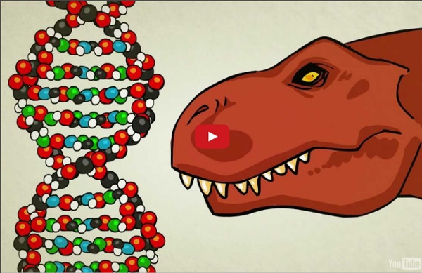 What is DNA and how does it work?
