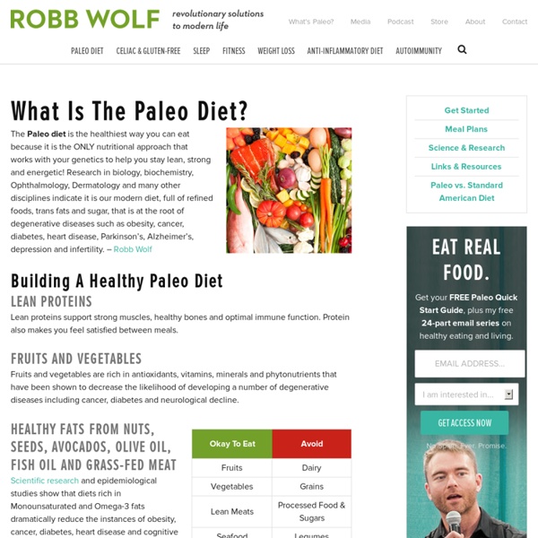 What Is The Paleo Diet?