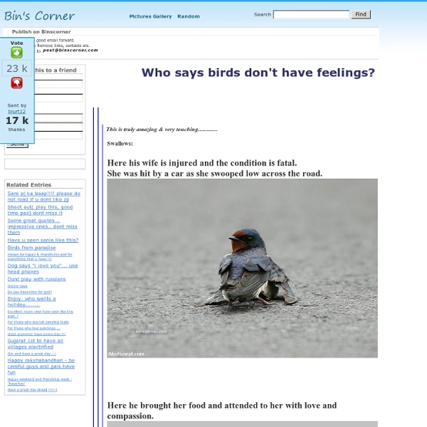 Who says birds don't have feelings?