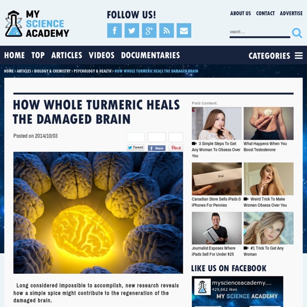 How Whole Turmeric Heals The Damaged Brain
