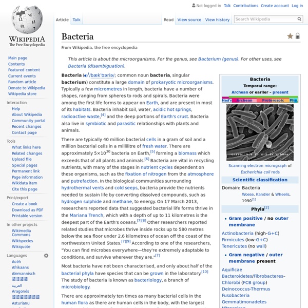 Bacteria