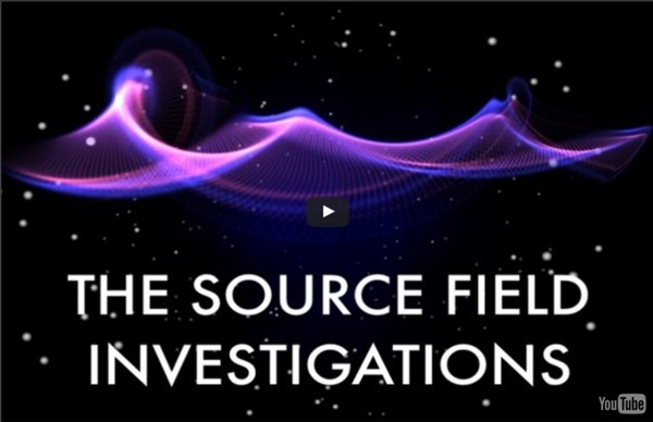 David Wilcock: The Source Field Investigations