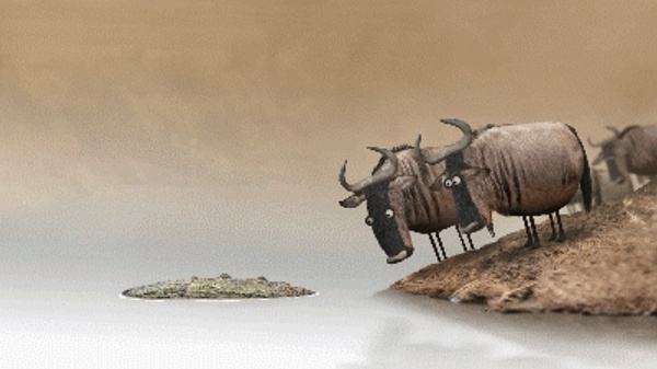 Wildebeest.gif (400×225)