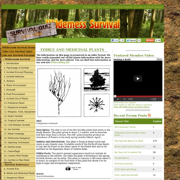 Edible & Medicinal Plants