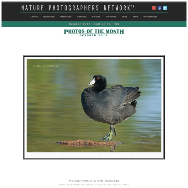 Nature, Wildlife and Landscape Photography Resource
