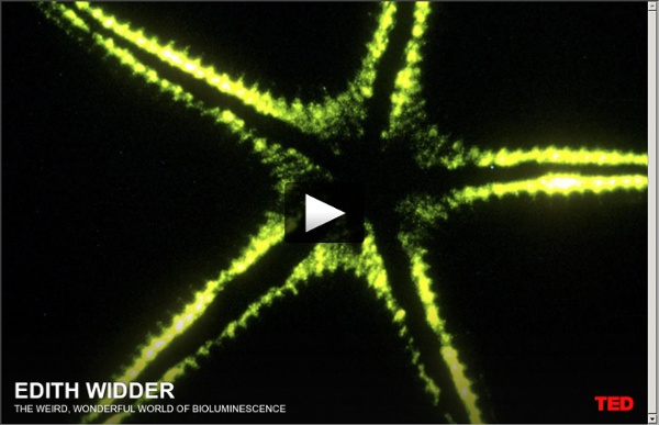 Edith Widder: The weird, wonderful world of bioluminescence