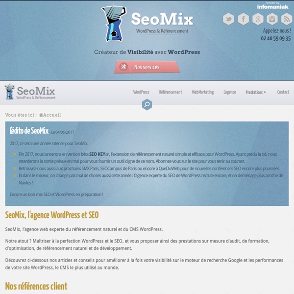 Wordpress, référencement et webmarketing : SeoMix