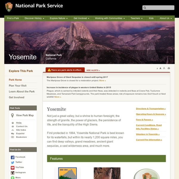 Yosemite National Park - Yosemite National Park
