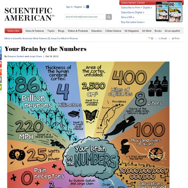 Your Brain by the Numbers