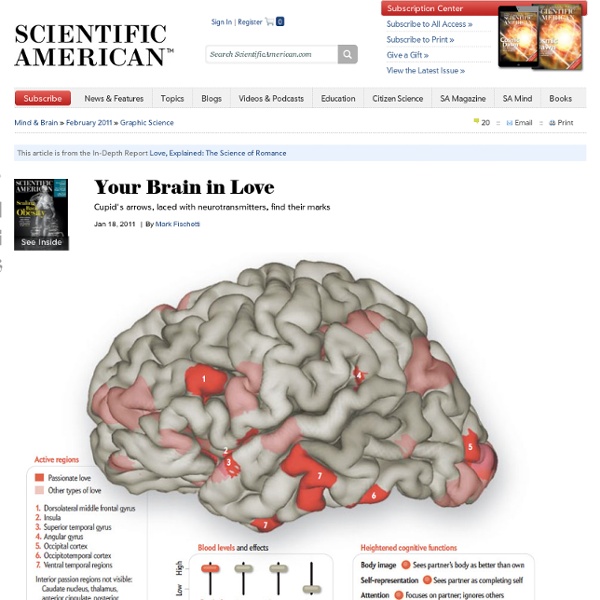 Your Brain in Love