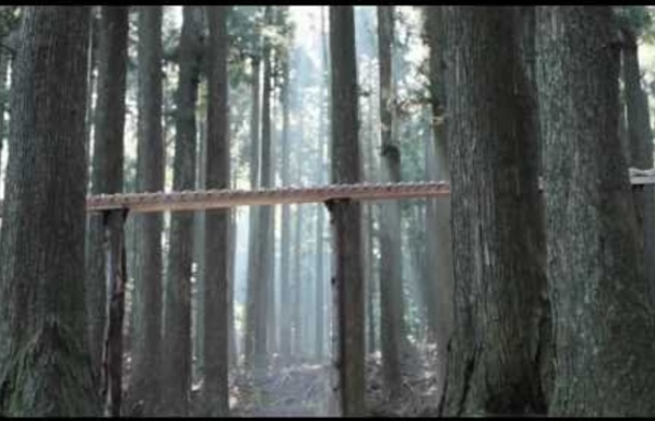 森の木琴