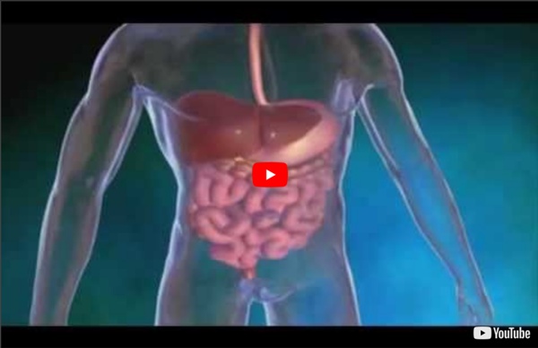 Vidéo YouTube Visalus sur la digestion