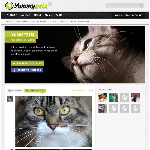 Yummypets - Le réseau social pour animaux