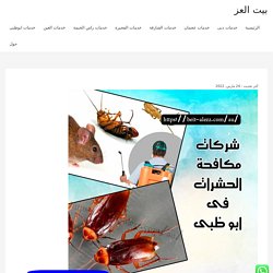 شركات مكافحة الحشرات أبو ظبي