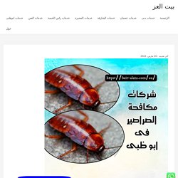 شركات مكافحة الصراصير أبو ظبي