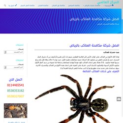 افضل شركة مكافحة العناكب بالرياض 0538353182