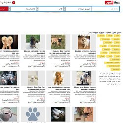 كلاب طيور و حيوانات سوق العرب المغرب ص1
