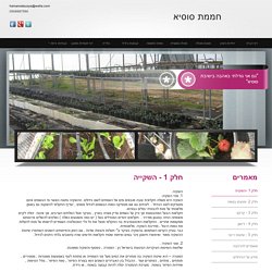 ישיבת סוסיא