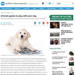 10 brain games to play with your dog