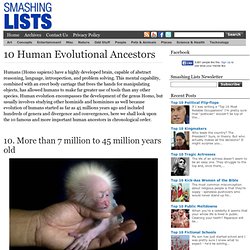 10 Human Evolutional Ancestors