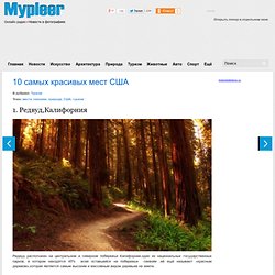 MyPleer + новости в фотографиях