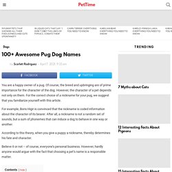 100+ Awesome Pug Dog Names - PetTime