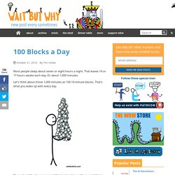 100 Blocks a Day — Wait But Why