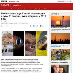 Риба-Ктулху, жук Грета і кишенькова акула. 11 тварин, яких відкрили у 2019 році - BBC News Україна
