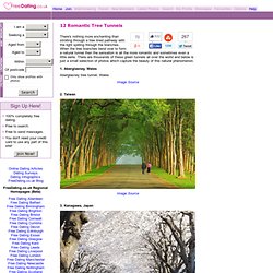 12 Romantic Tree Tunnels