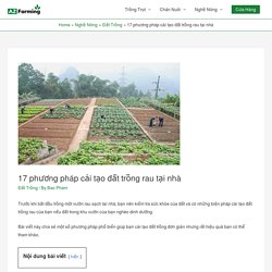 17 phương pháp cải tạo đất trồng rau tại nhà - AZ Farming
