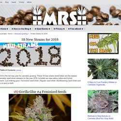 18 New Strains for 2018