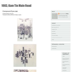 1983, Kam Tin Main Road: Compound Eyes 複眼