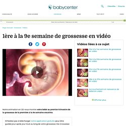 La grossesse en vidéos