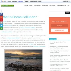 20 Facts About Ocean Pollution