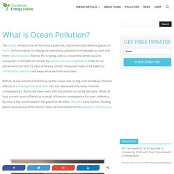 20 Facts About Ocean Pollution