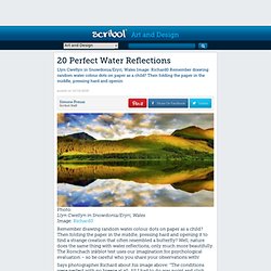 20 Perfect Water Reflections