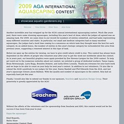 2009 AGA Aquascaping Contest