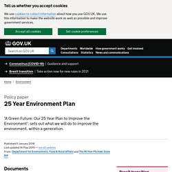 25 Year Environment Plan