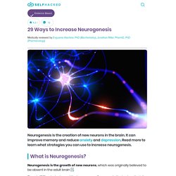29 Ways to Increase Neurogenesis