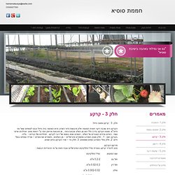 חלק 3 - קרקע