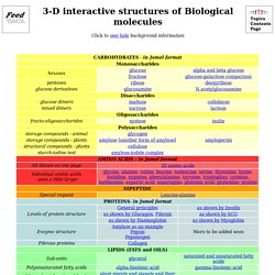 3-D Biological Molecules