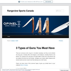 3 Types of Guns You Must Have
