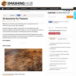 30 Awesome Fur Textures