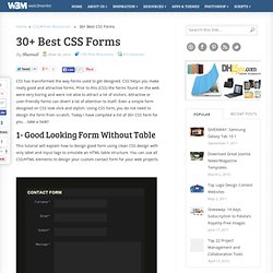Best CSS Forms