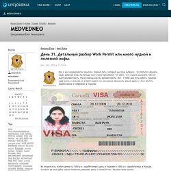 День 31. Детальный разбор Work Permit или много нудной и полезной инфы. - MEDVEDNEO