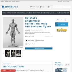 3dtotal's anatomical collection: male full ecorche figure