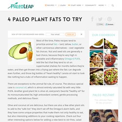 4 Paleo Plant Fats to Try