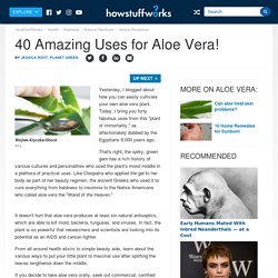 40 Amazing Uses for Aloe Vera!