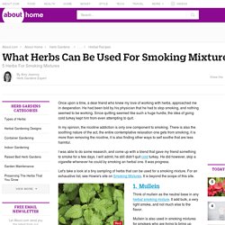 6 Herbs For Smoking